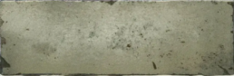 E234931 AMAZONIA MOSS 6,5x20