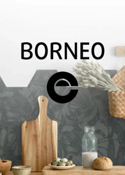 portada catalogo coleccion borneo uai