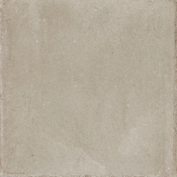 BEIGE E238748 RAJOLA BEIGE 20X20