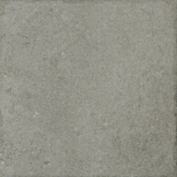 E238812 Yellowstone Grey L 23,1X23,1