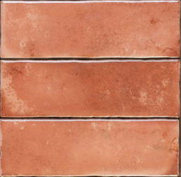 CORAL E238943 MATCHA CORAL 6X18,5